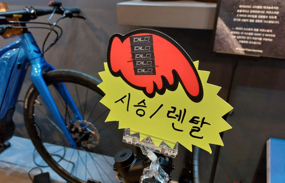 댄디바이크 이미지