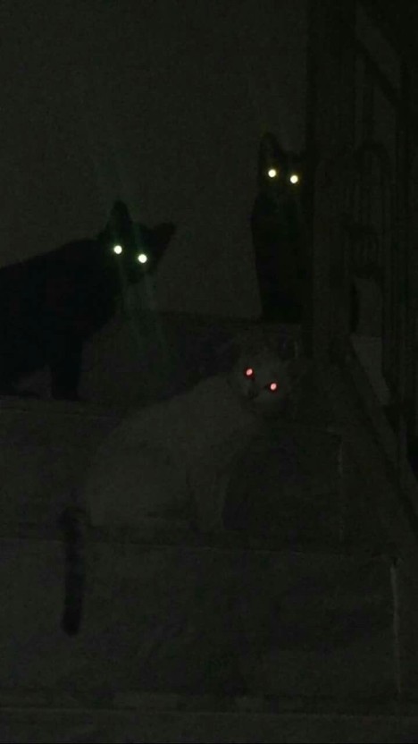 플립스토어 이미지