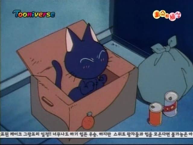 쿨뷰티 이미지