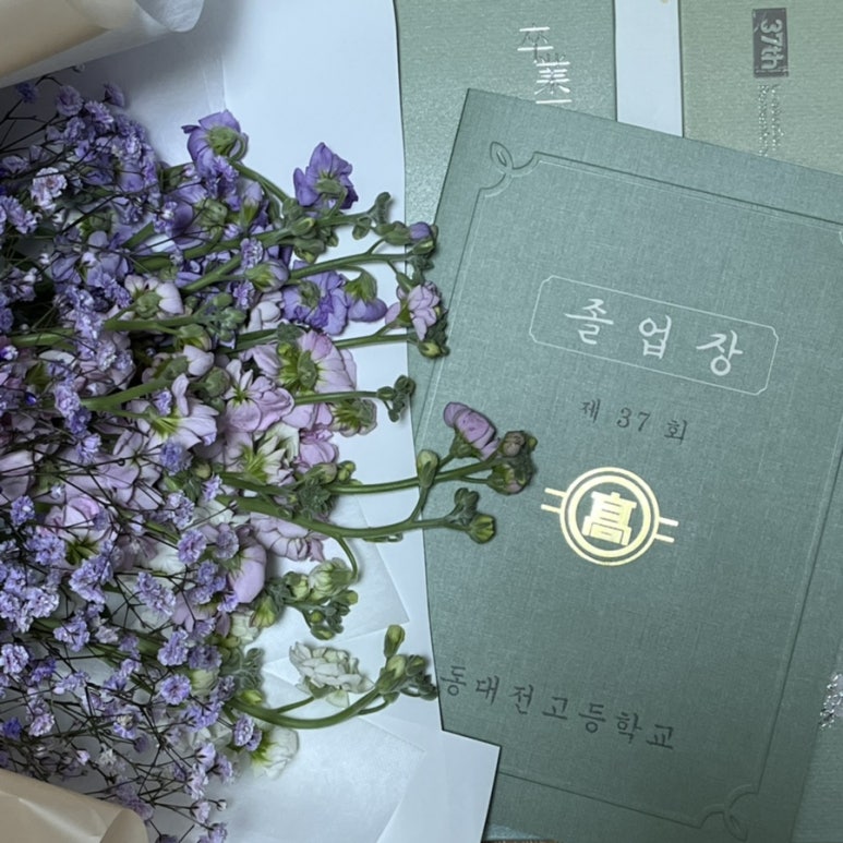 라이트앤쏠트 이미지