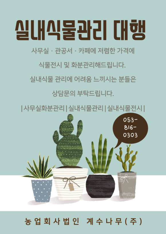 법인계수나무 이미지