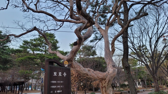 낙안분식 이미지