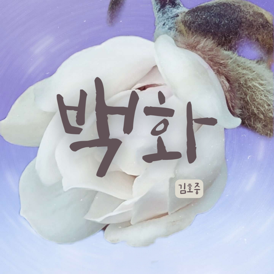 꽃피다Bloom 이미지