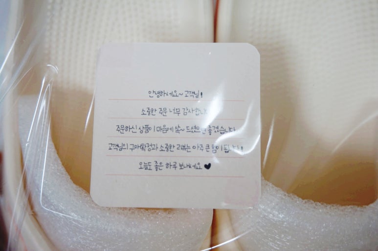 솜라이 이미지