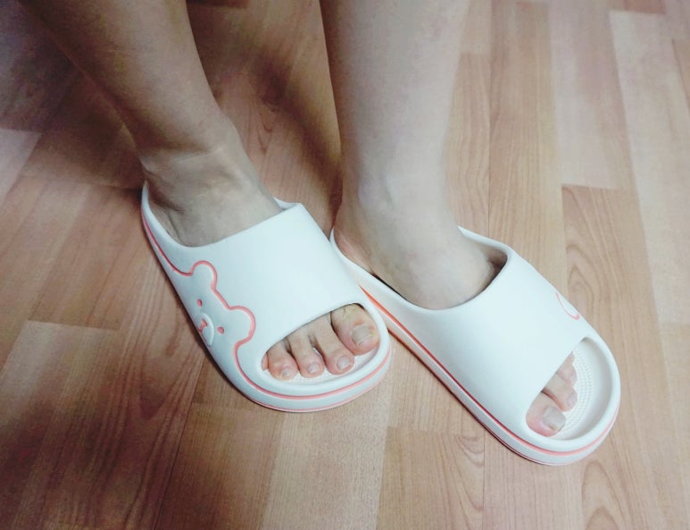 솜라이 이미지