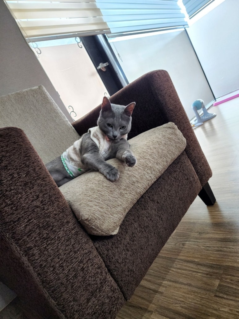 바베큐이야기 이미지