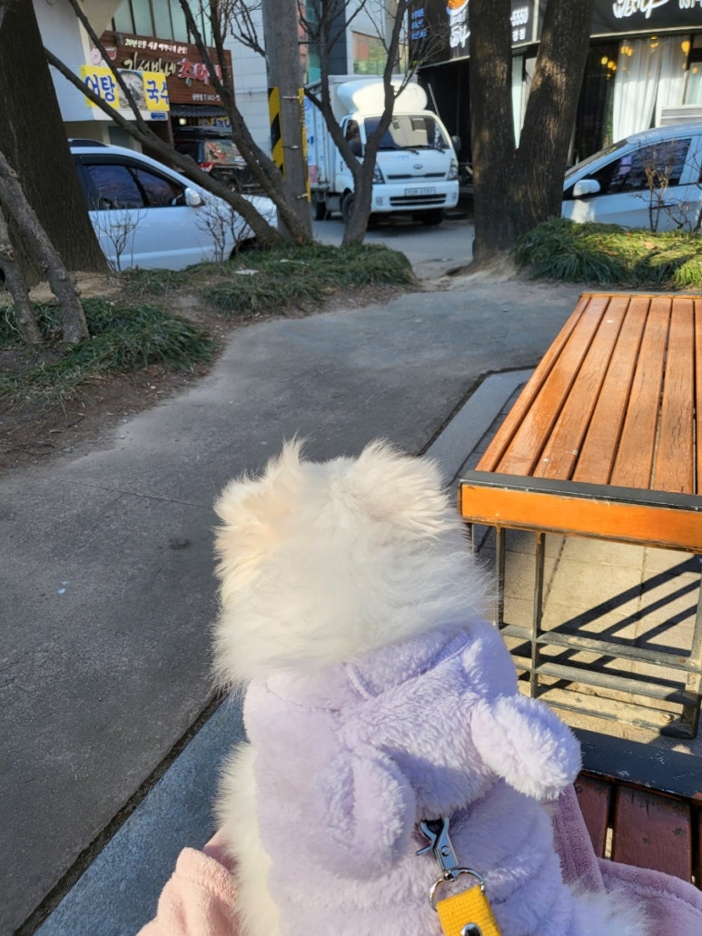 온_텀 이미지