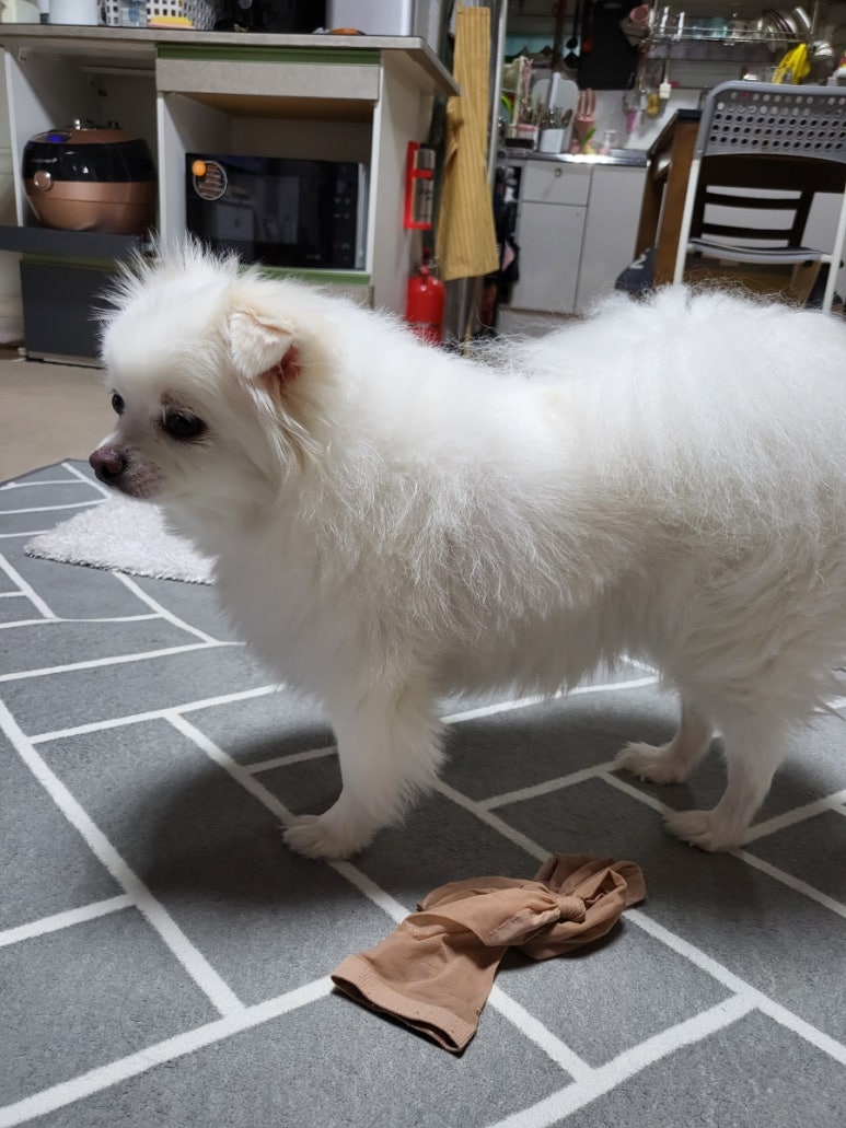 온_텀 이미지