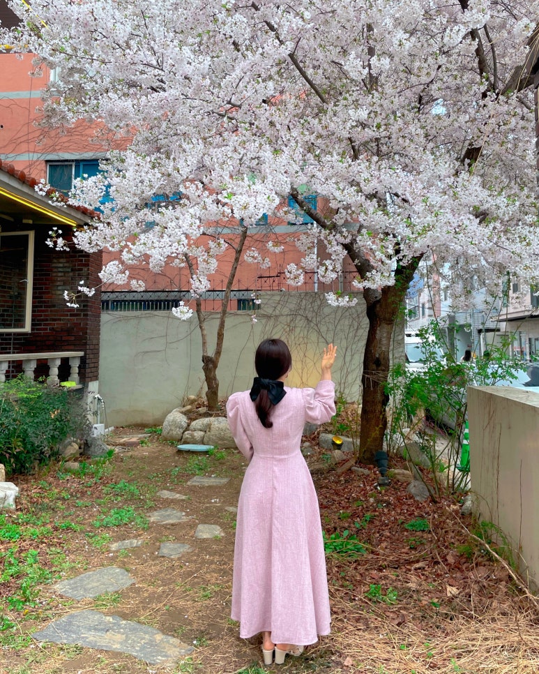 엘아이티 이미지