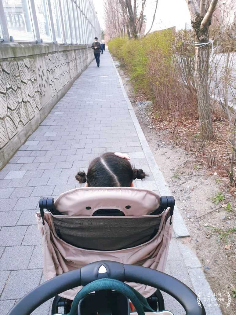 곤찌 이미지