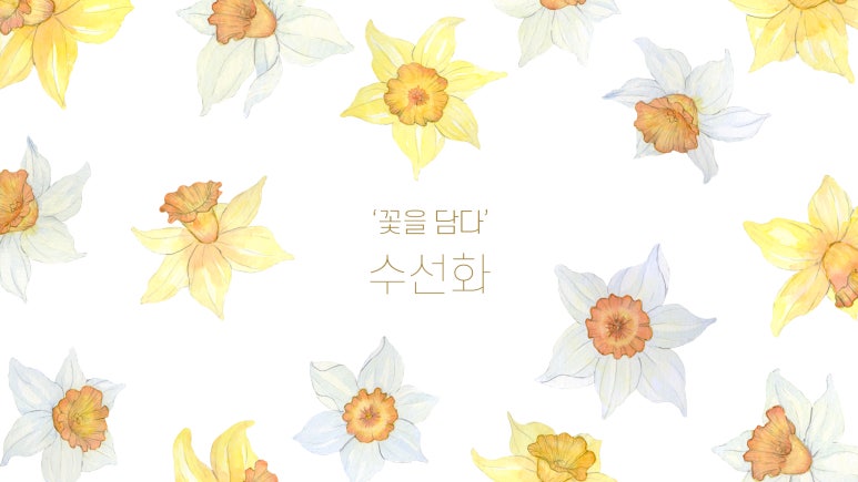 꽃을담다 이미지