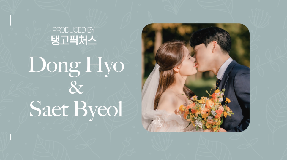 탱고픽처스 이미지