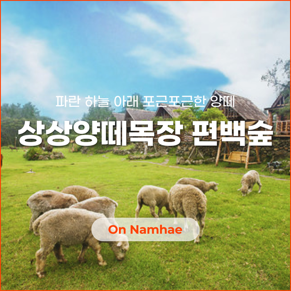 파란상상 이미지