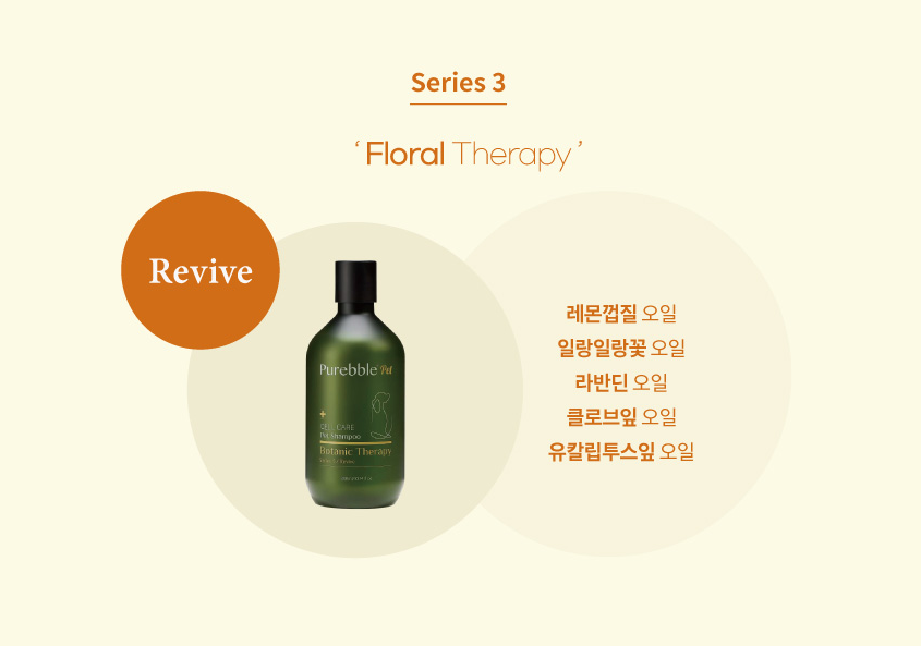 미도테라피 이미지