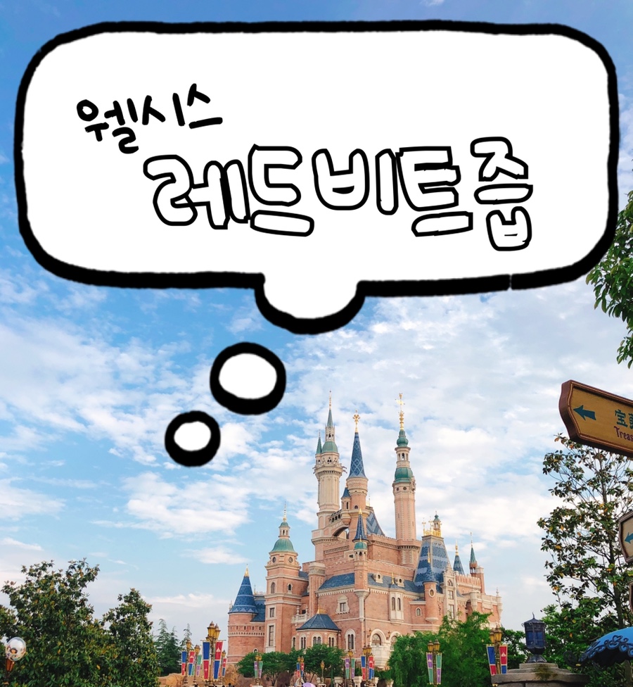 웰시스 이미지