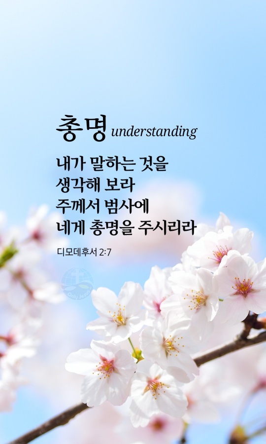 바울복사 이미지