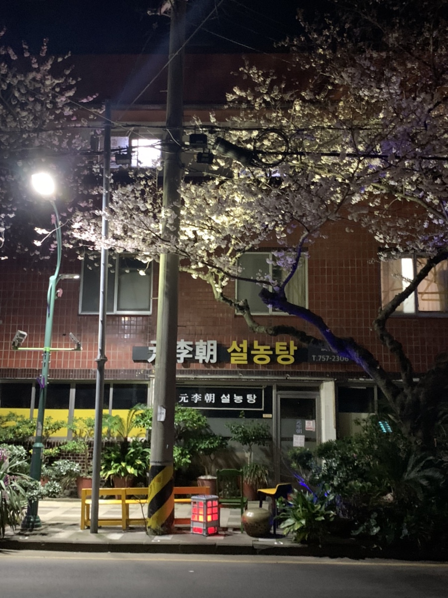 원이조 이미지