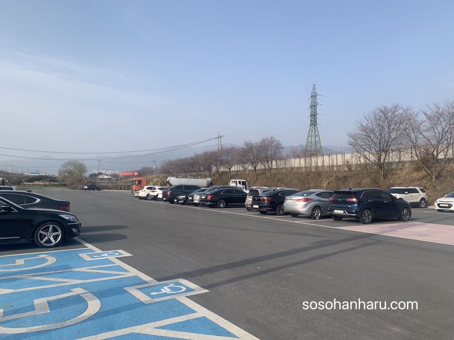 대나무주유소 이미지