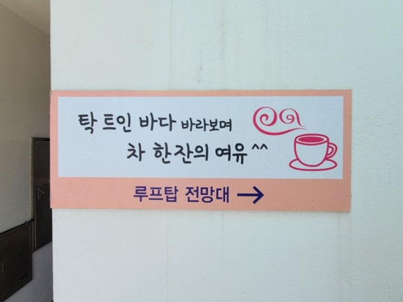 소낭집 이미지