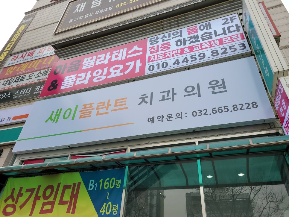 새이플란트치과의원 이미지