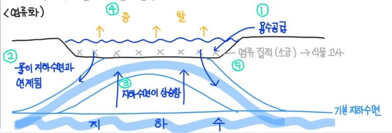 레이화 이미지