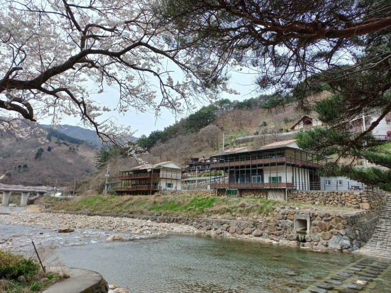 봉쥬르펜션 이미지
