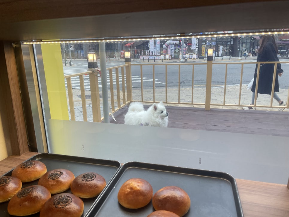 광일주유소 이미지
