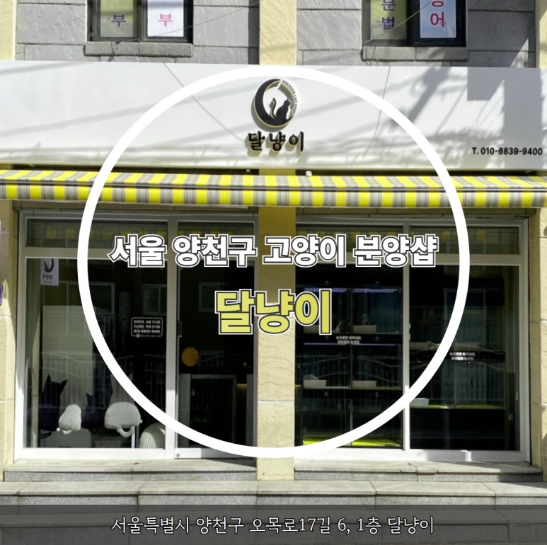 신신엠앤씨주 이미지