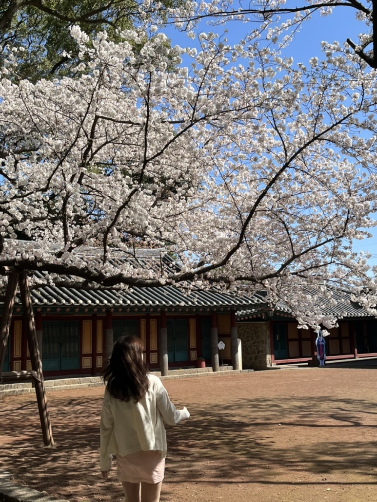 오달콤제주협재점 이미지