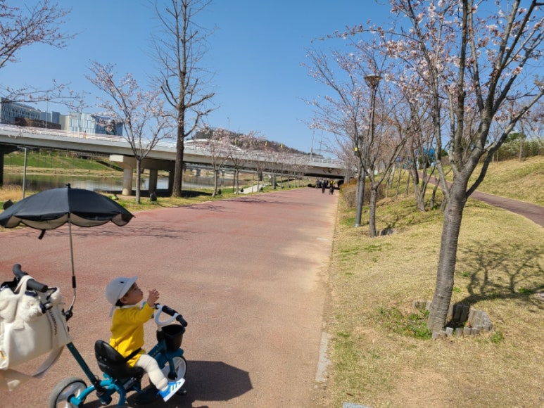 주면야주 이미지