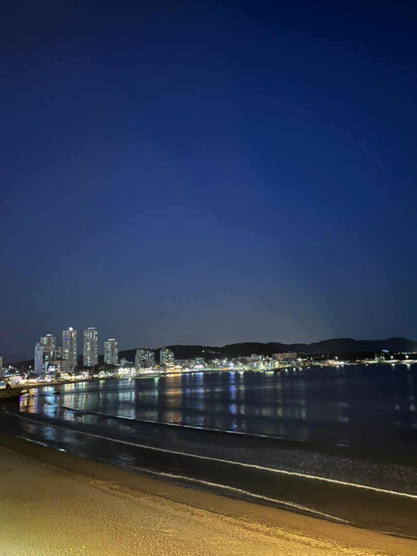 바이슈기 이미지