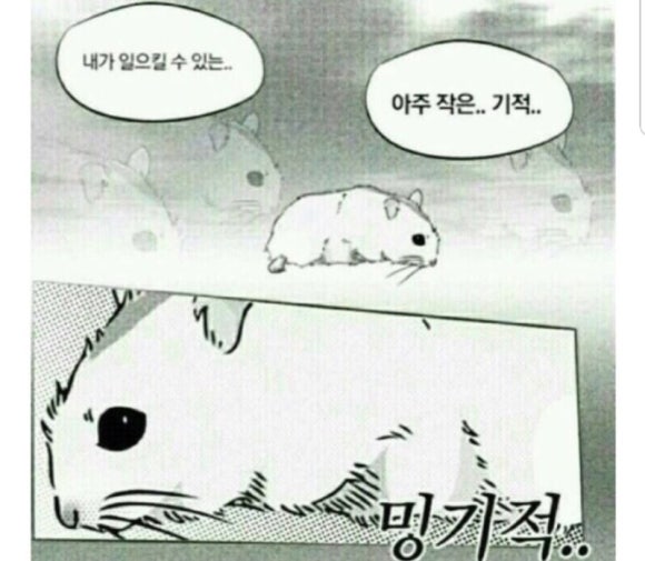 오구왕소금구이 이미지