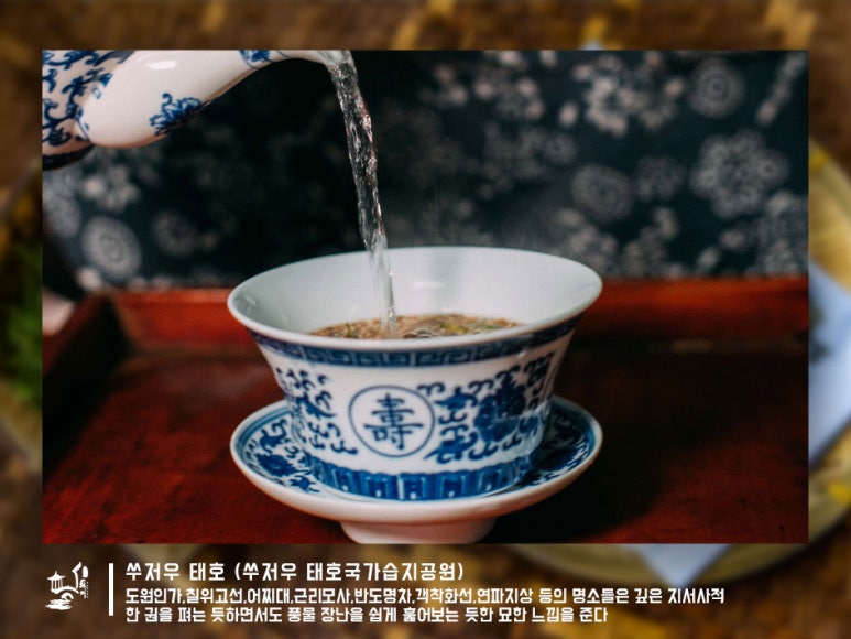 원시관광농원 이미지