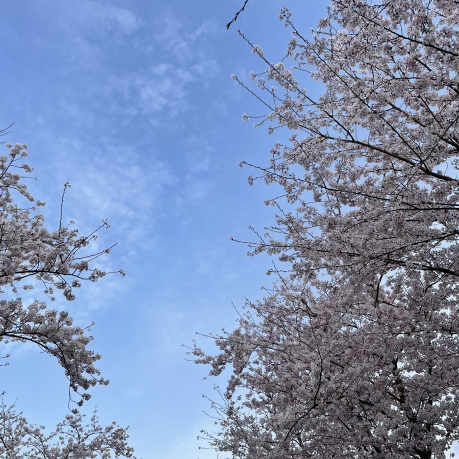 세븐일레븐산방로드점 이미지