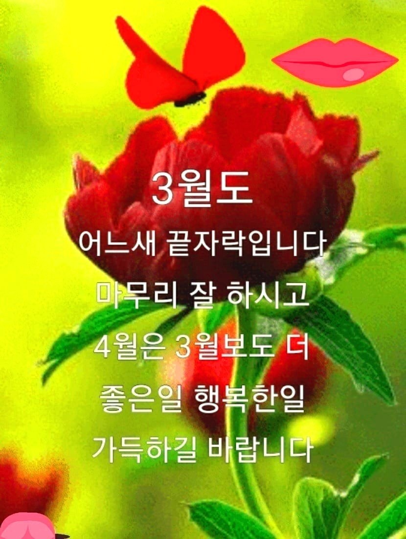 대일부동산 이미지
