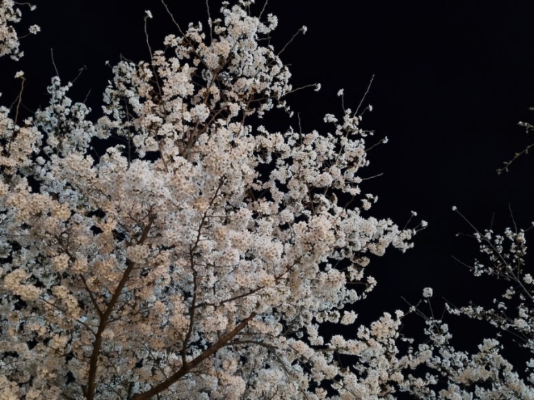 반계공원 이미지