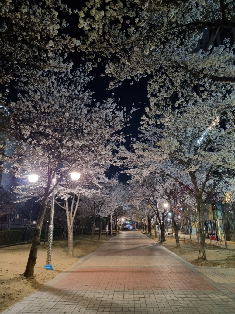 반계공원 이미지