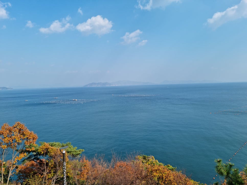 맥풍 이미지