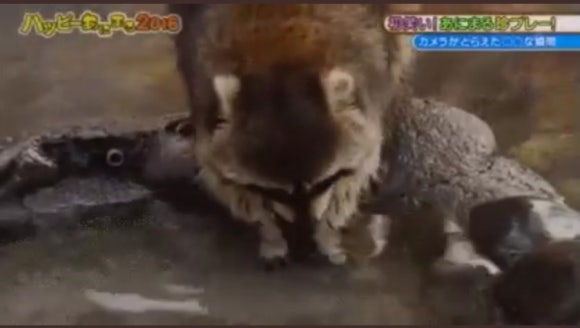 디스앤댓 이미지