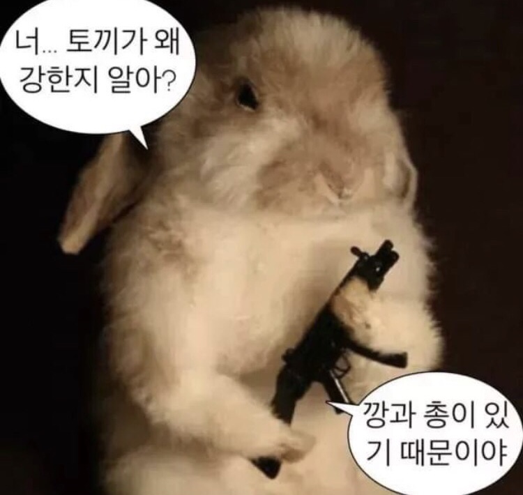 누도 이미지