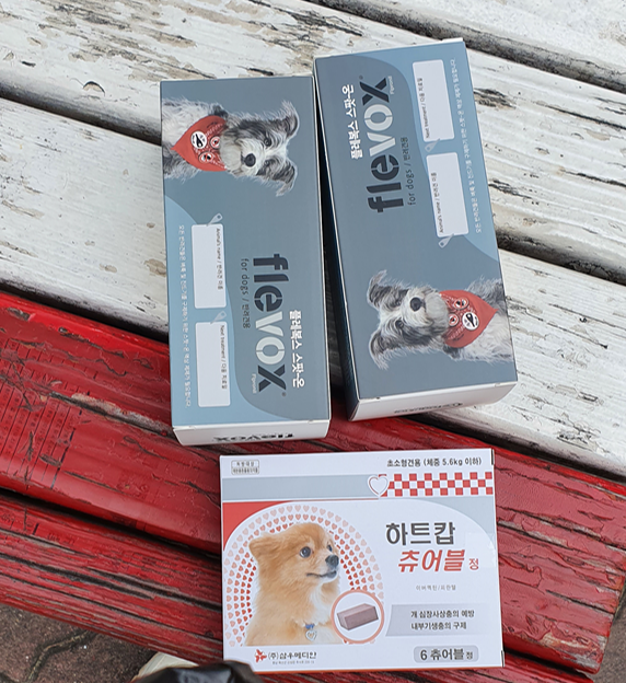 써니구제# 이미지
