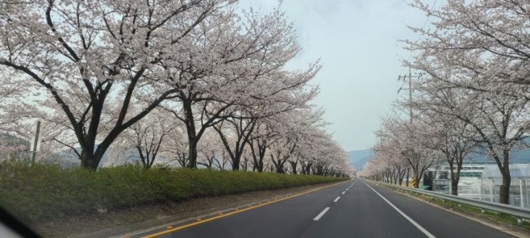 황매산문워크카라반캠핑 이미지