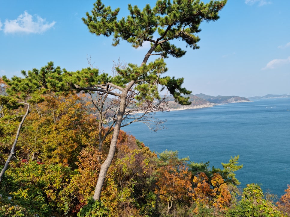 맥풍 이미지