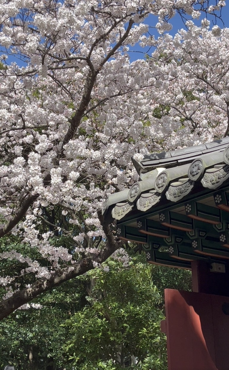 오달콤제주협재점 이미지
