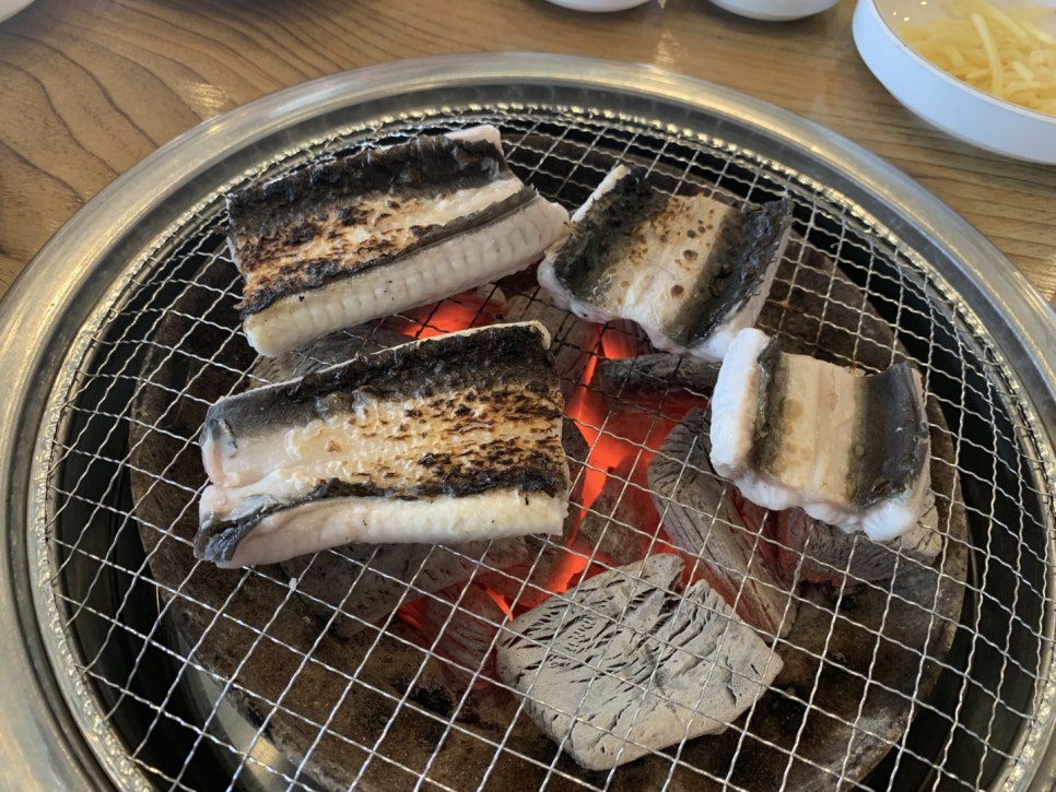 폭풍장어 이미지