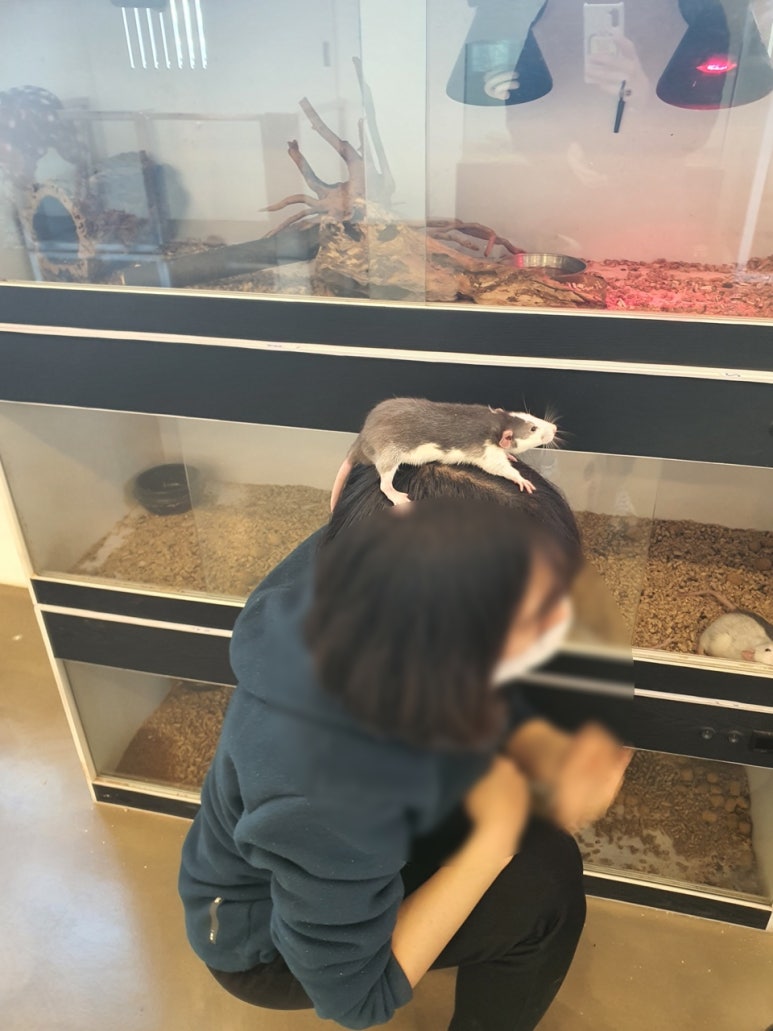 카페모들 이미지