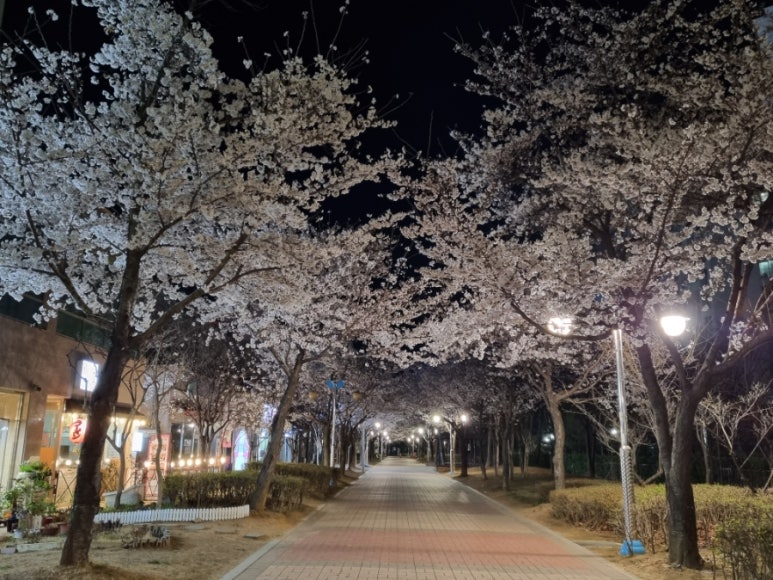 반계공원 이미지