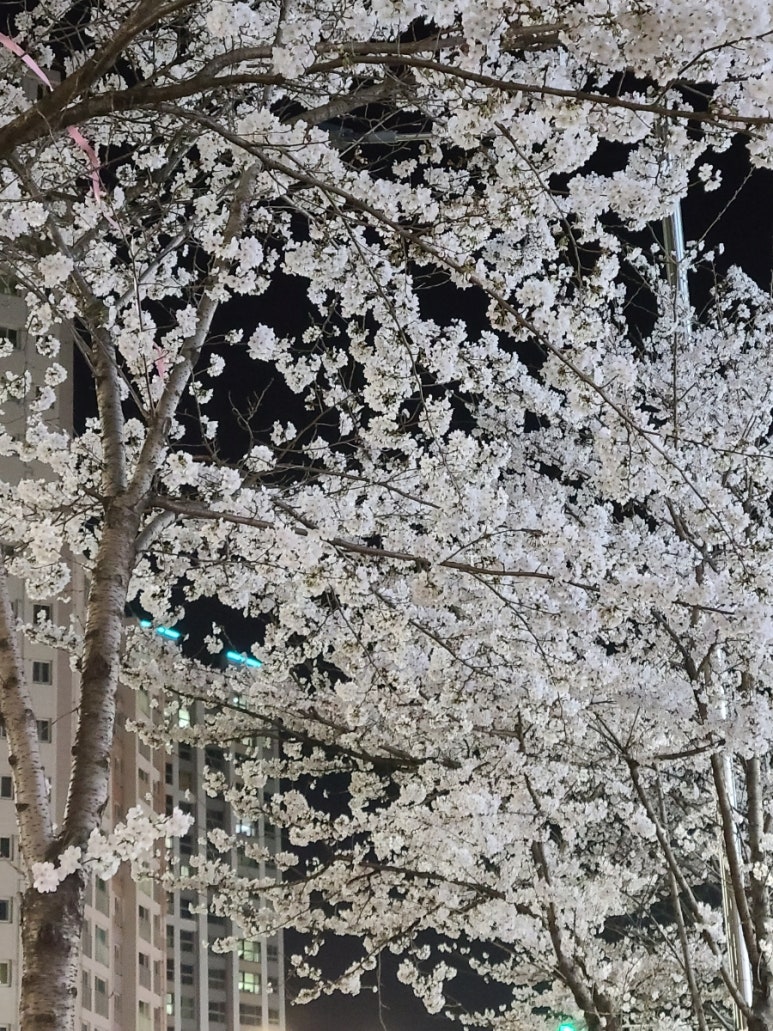 윤희베이커리 이미지