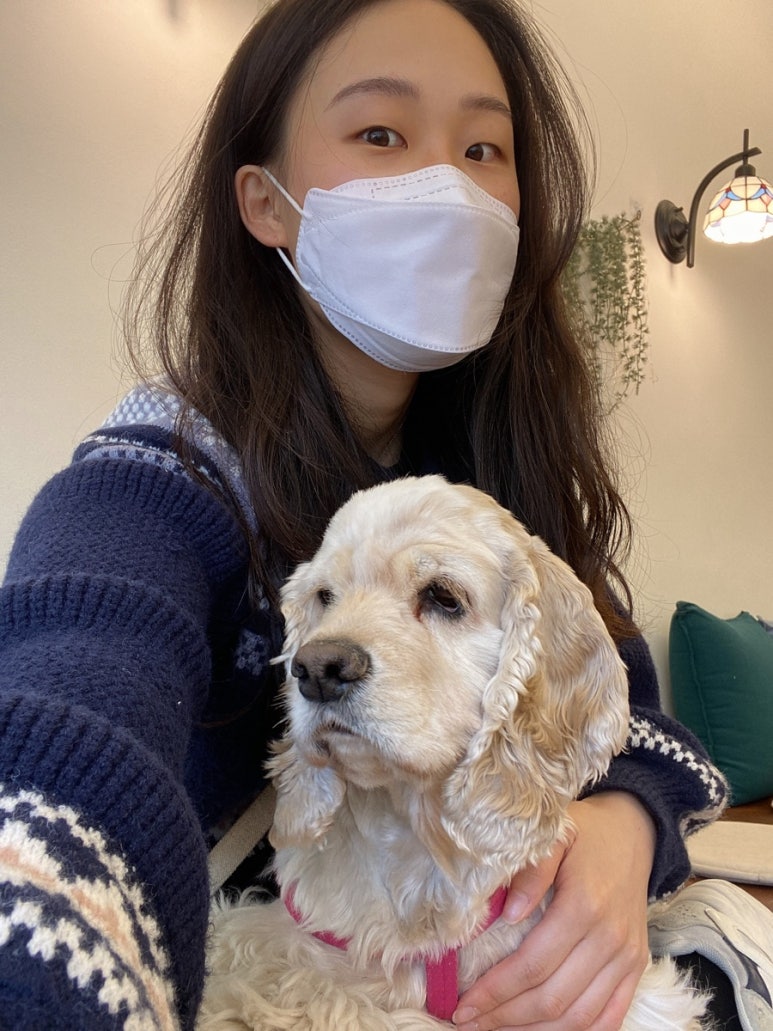 코코다방 이미지