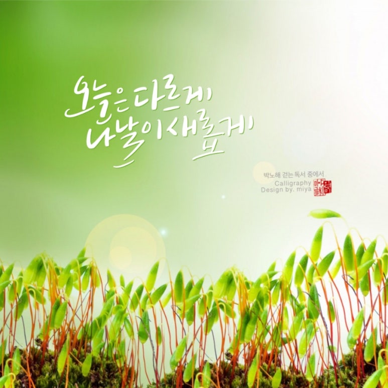 미야글씨 이미지